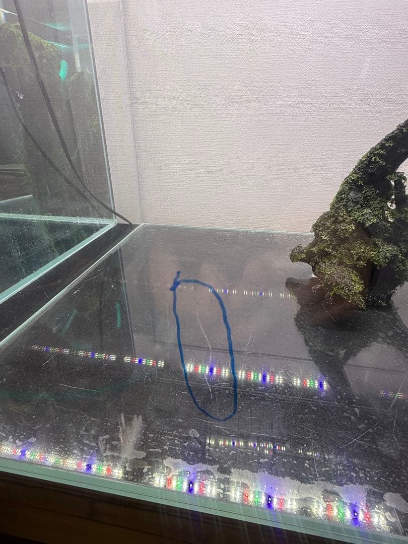 水槽セット　引取限定or配達　発送不可