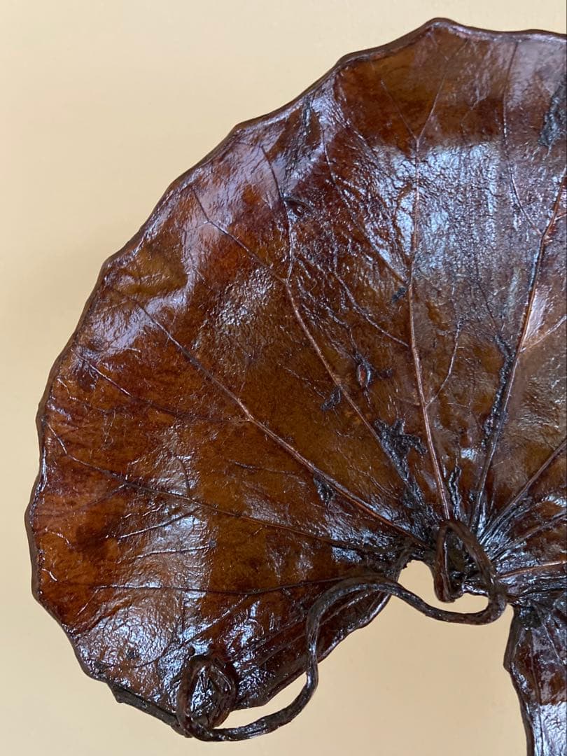 R*O様 茶道具 山中漆器 信斉作 一閑張 石蕗 干菓子盆 漆器 塗箸 共箱・栞