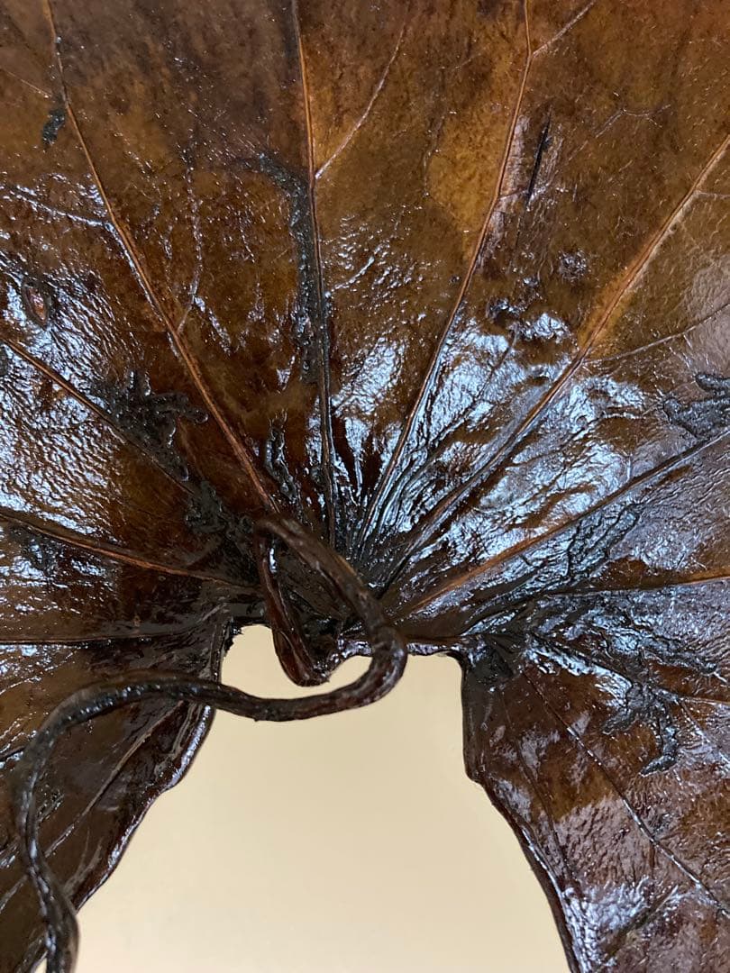 R*O様 茶道具 山中漆器 信斉作 一閑張 石蕗 干菓子盆 漆器 塗箸 共箱・栞