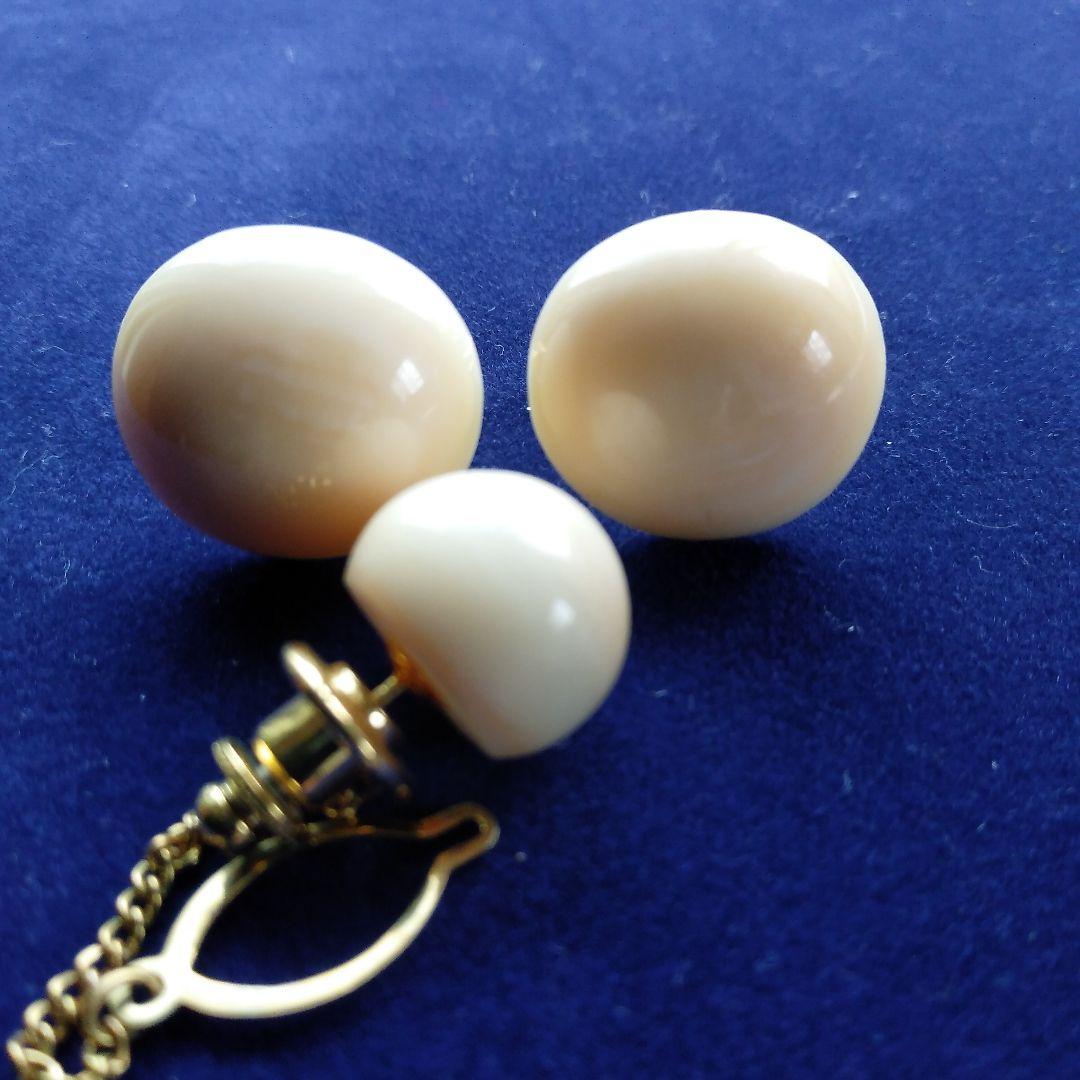 鯨歯　マッコウクジラ　カウス・ネクタイピン10セット（箱なし）