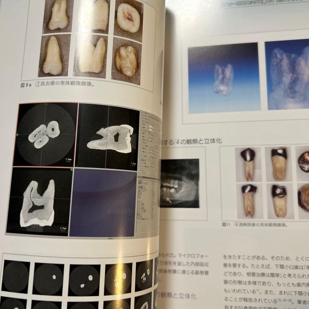 QDT Art & Practice 2015年6月号