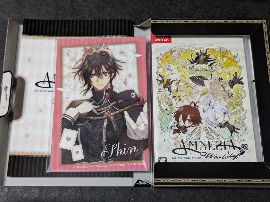 AMNESIA World for Nintendo Switch 限定版