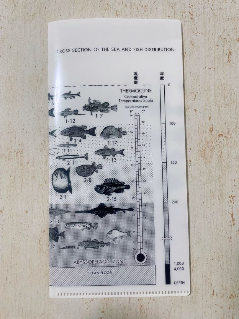 サカナクション　魚大図鑑　(完全生産限定盤)