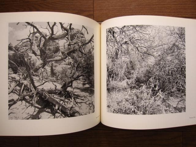 アート・デザイン・音楽 Lee Friedlander 1960s-2000s