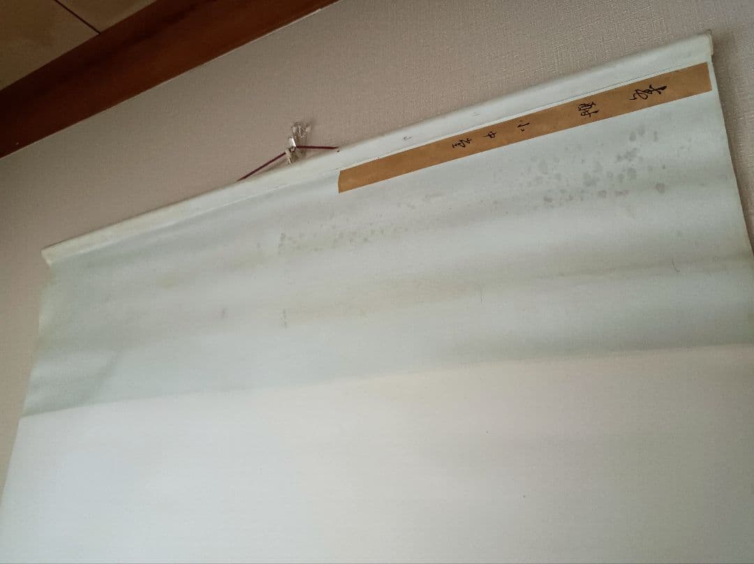 軸 開運 縁起物 おもてなし 絵 幸運 鳥 孔雀 中国 美術 骨董 インテリア