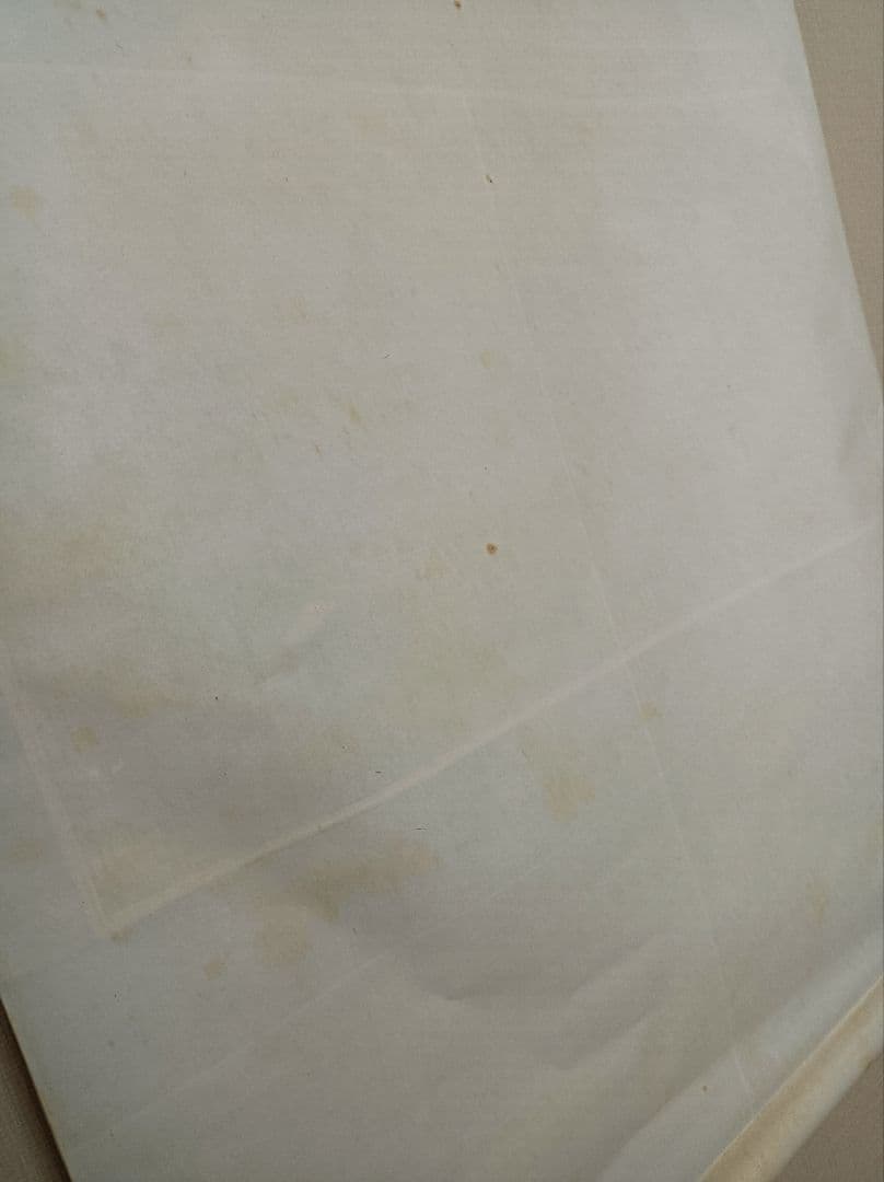 軸 開運 縁起物 おもてなし 絵 幸運 鳥 孔雀 中国 美術 骨董 インテリア