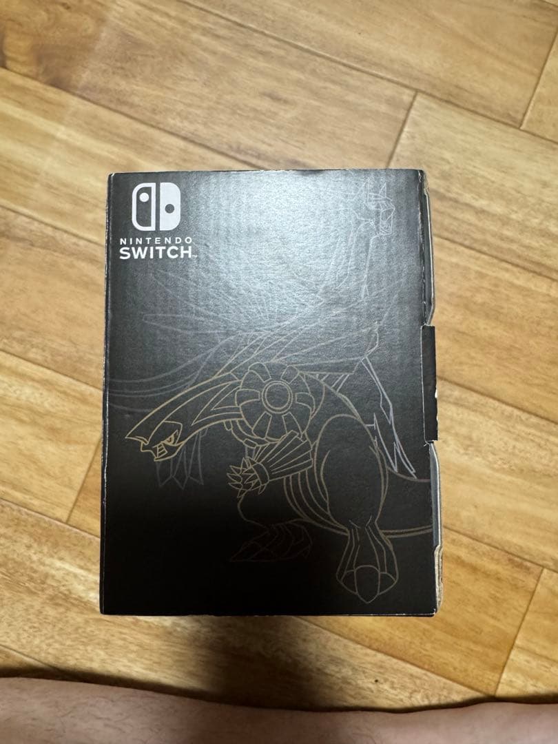 Switch lite ディアルガパルキア　充電付き　美品