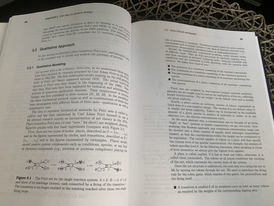 洋書 SYMBOLIC SYSTEMS BIOLOGY Hardcover