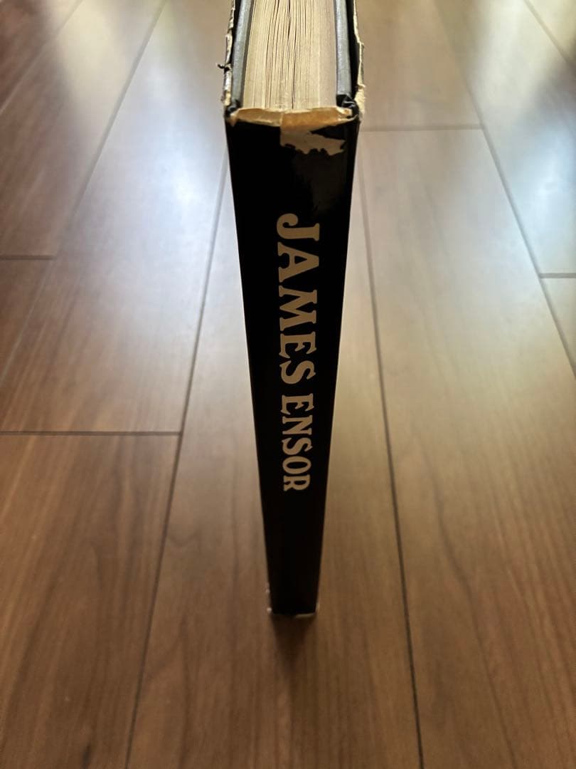 James Ensor by Paul Haesaerts アンソール画集