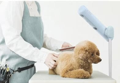 【展示品】 BISARA with ハンズフリースタンドヘアドライヤー