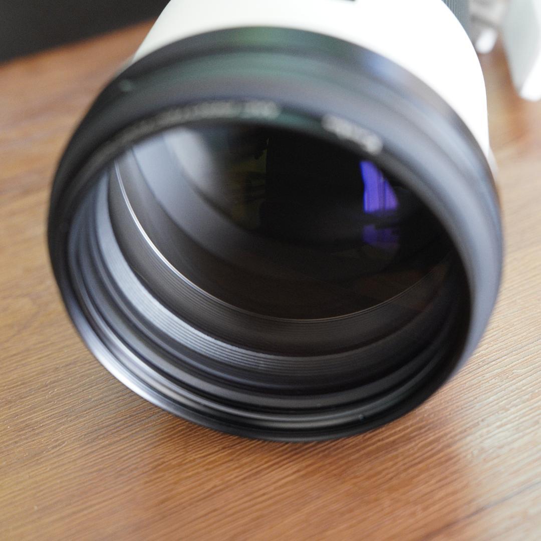 レンズ(ズーム) SONY SEL200600G