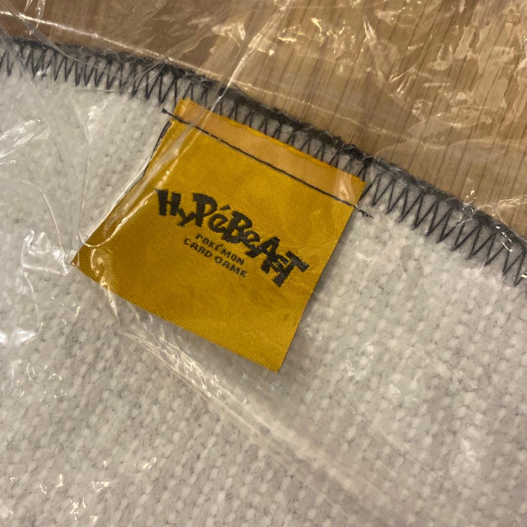 HYPEBEAST x ポケモン 25周年 リザードン ラグ