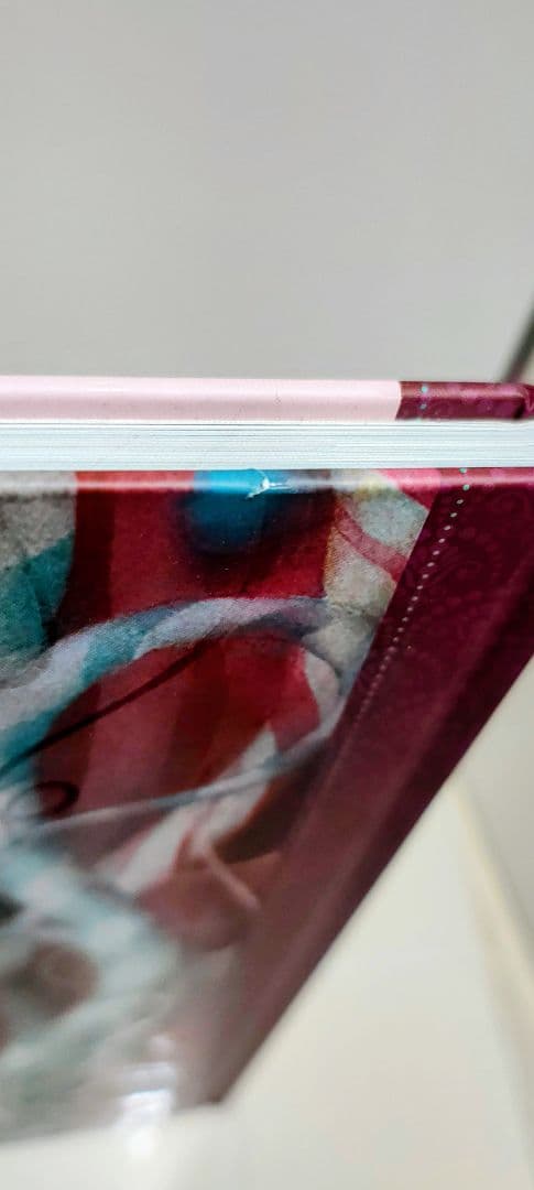 Nicoletta Ceccoli　ニコレッタ・チェッコリ　画集　初版