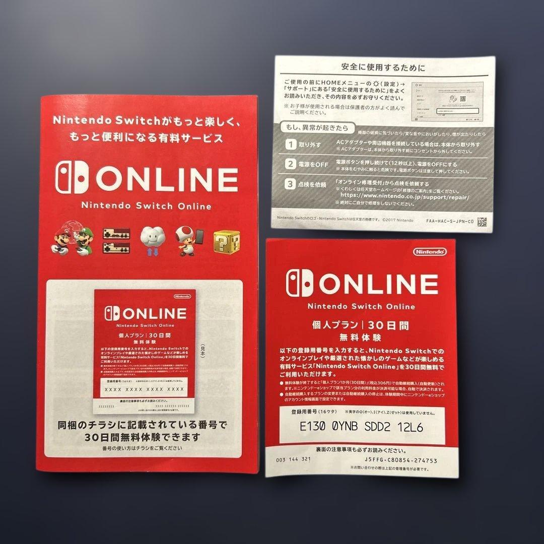 《動作確認済み》Nintendo Switch Lite グレー