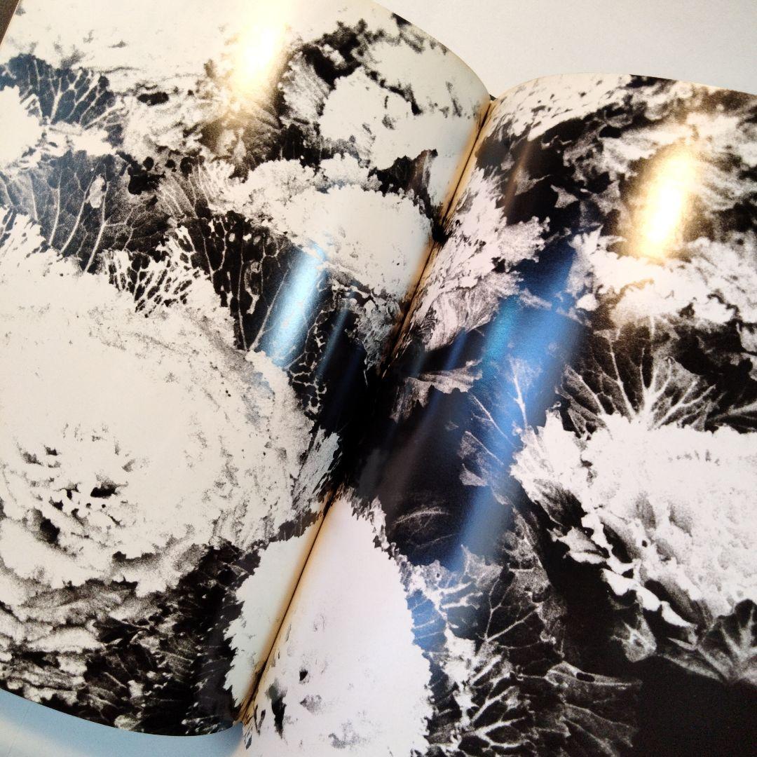 中平卓馬「新たなる凝視」