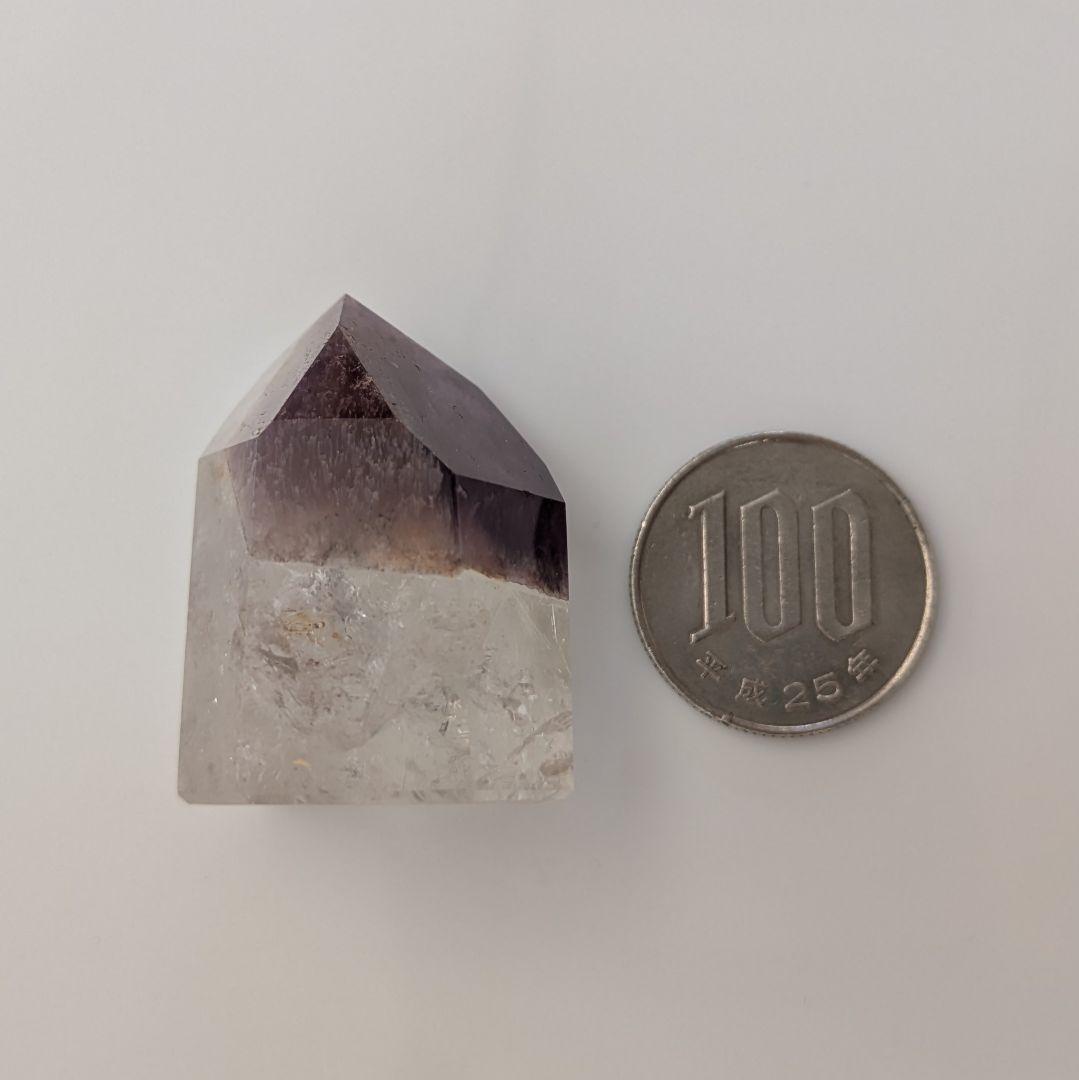 希少☆超高品質☆ドリームコートレムリアン