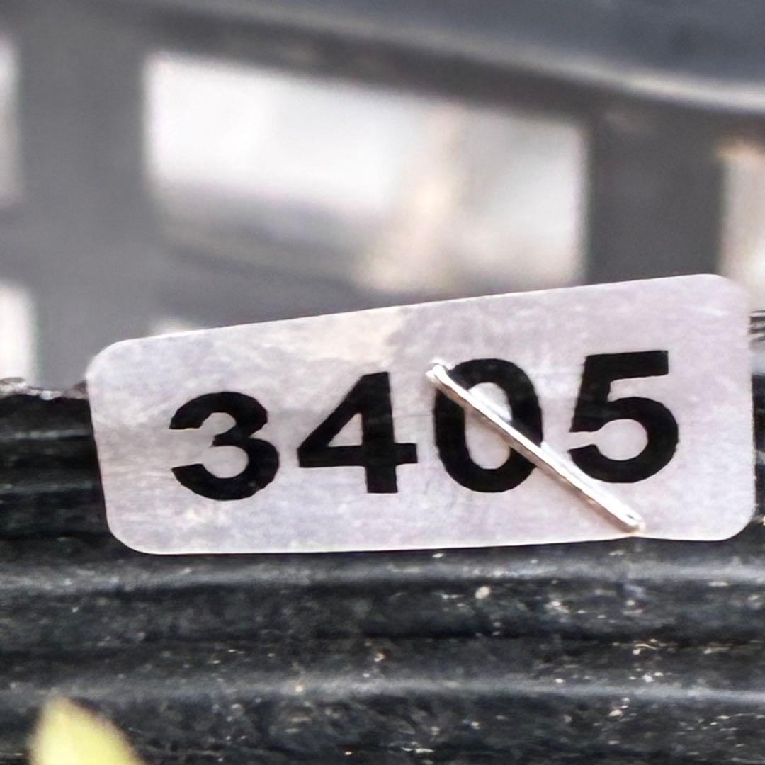 プ*ン様 3405☘️蕾付き☘️⭐️超小輪⭐️コロコロ手毬咲き⭐️ピコティー⭐️