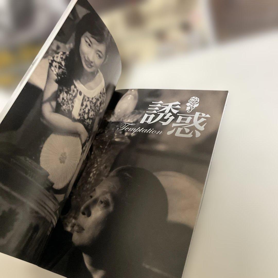 芦川いづみ DVDセレクション〈3枚組〉