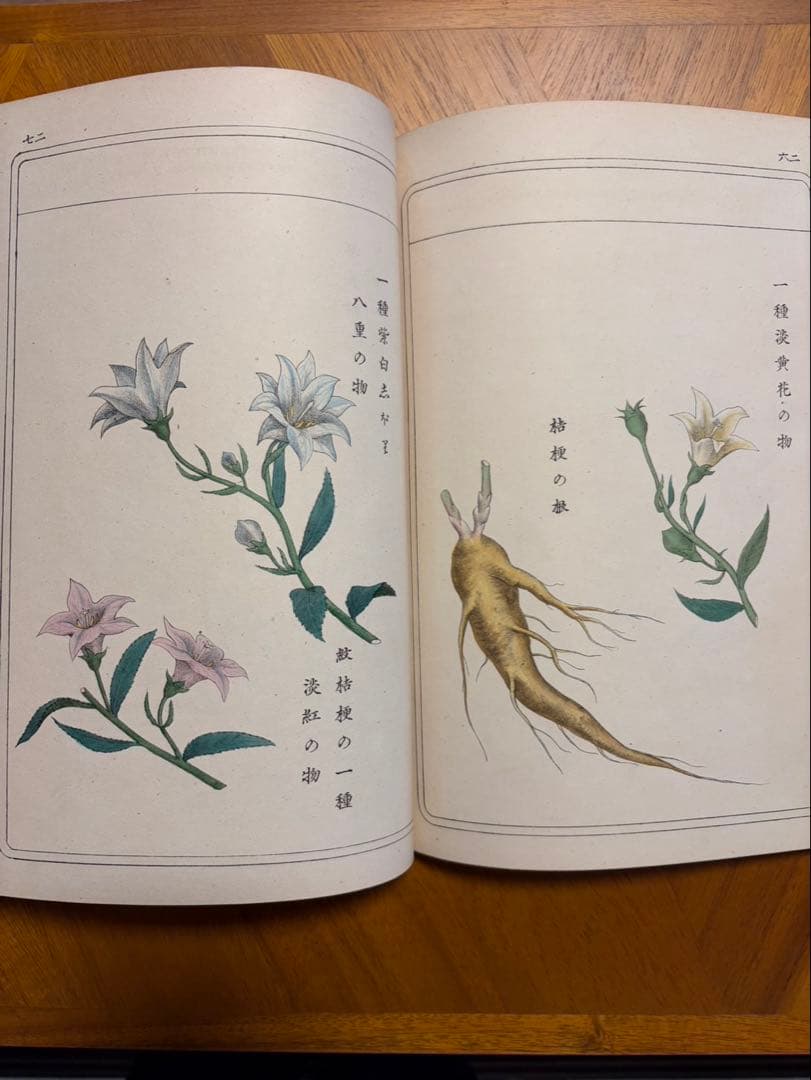 本草図譜 故岩﨑常正著 九皐堂蔵版　小野職愨校閲/鶴田清次補正