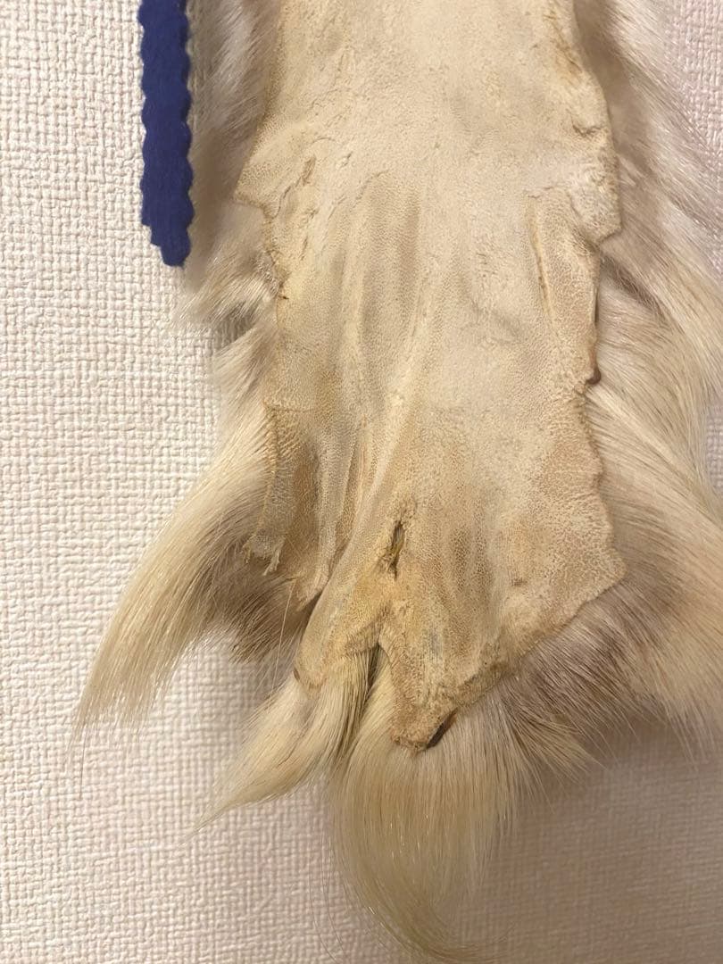 クリスマス　壁飾り　飾り　トナカイ　毛皮　ヴィンテージ　リアルファー