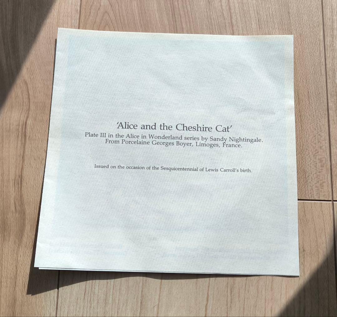 リモージュ 不思議の国のアリス チェシャ猫 プレート 飾り皿 陶器 絵皿
