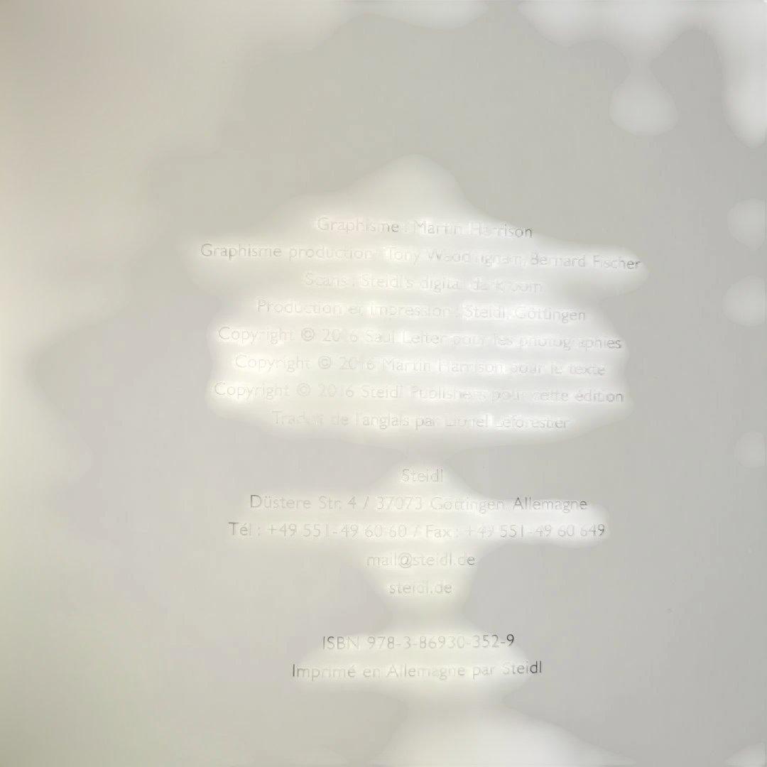 アート・デザイン・音楽 SAUL LEITER Early Color