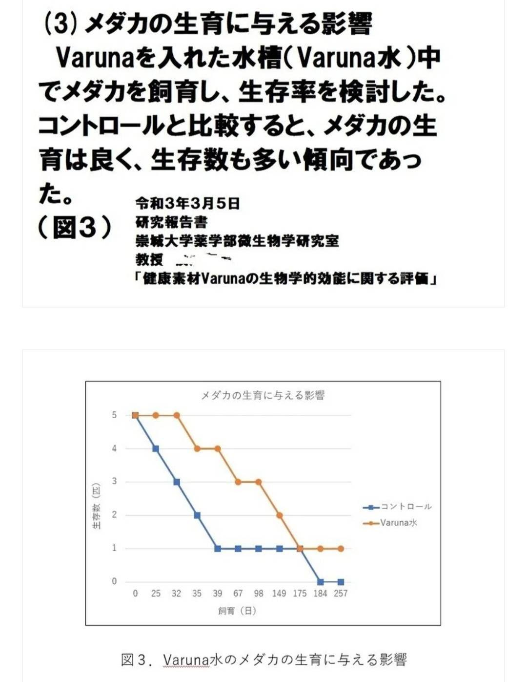 らんちゅうの飼育者絶賛！水槽の水を綺麗に保つ【ヴァルナ】有害物質、病原菌強力抑制