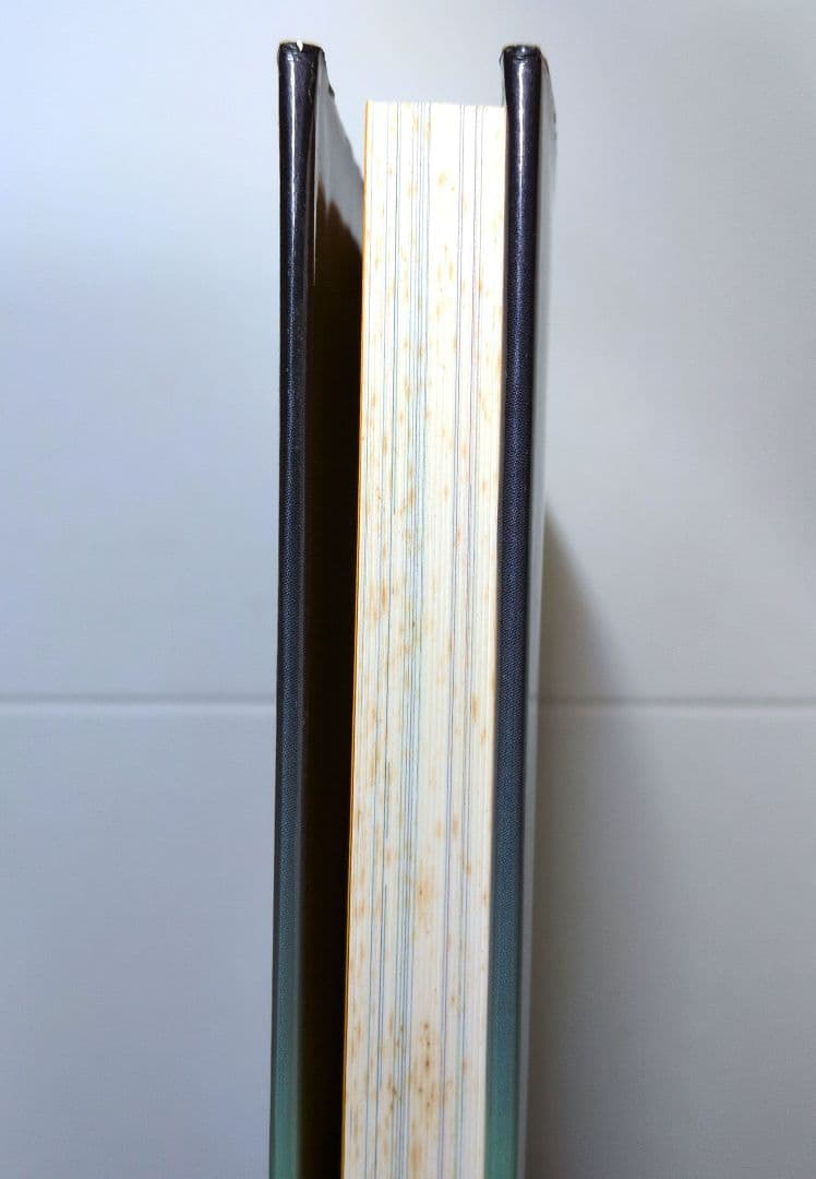 【希少品】痴虫 2号　 佐伯俊男作品集