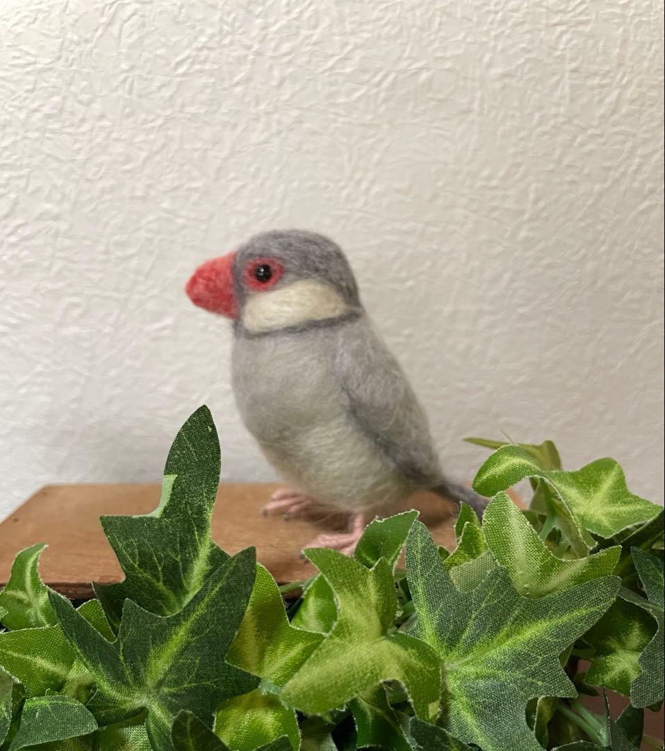 小さな文鳥たち