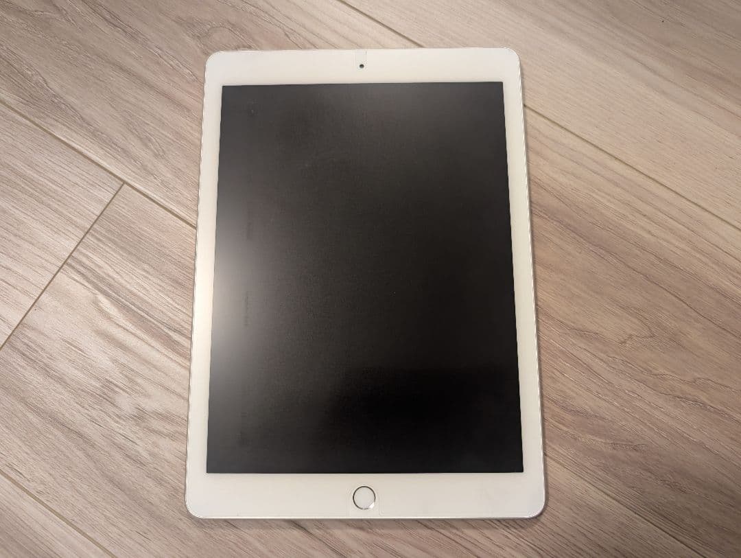 む*り様 iPad Pro 9.7 128GB Cellularモデル