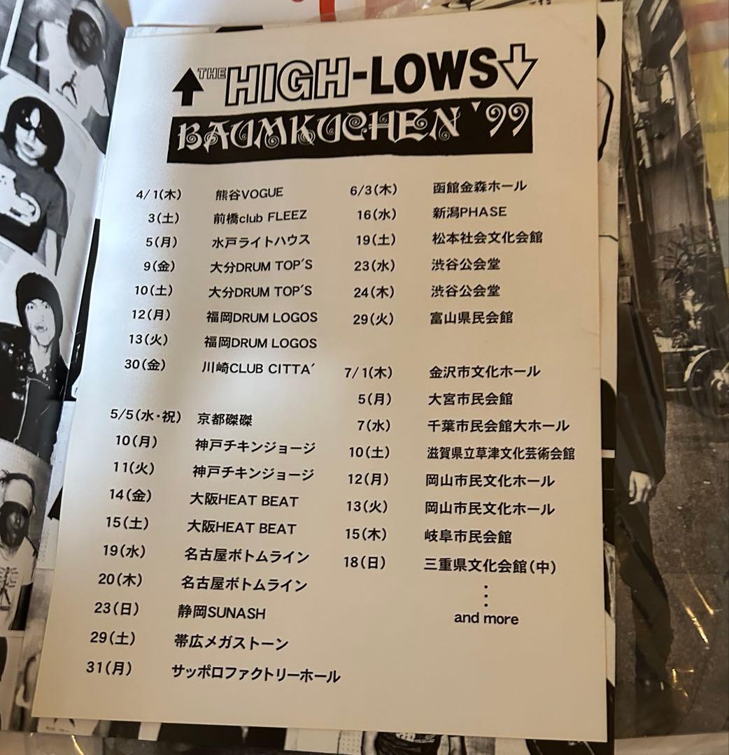 激レア　ブルーハーツ　ハイロウズ　パンフレット　大量10冊セット