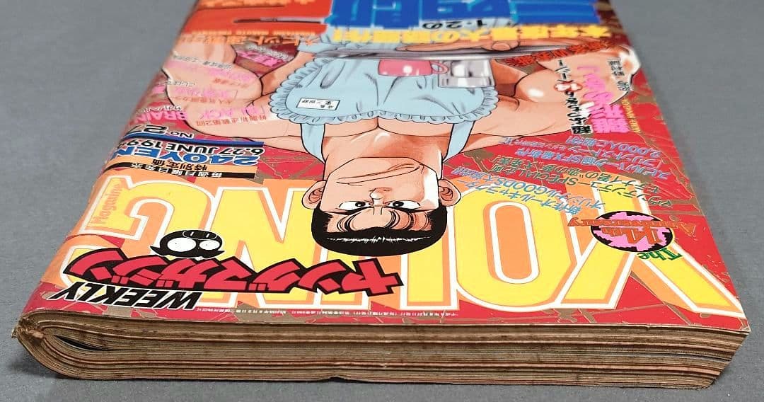 週刊ヤングマガジン1994年6月27日27号『1・2の三四郎2』表紙/小林まこと